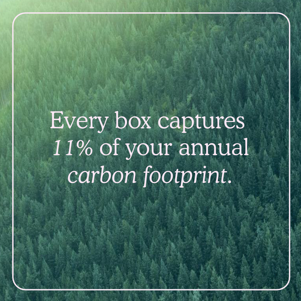 Recycled 3 Ply Toilet Paper