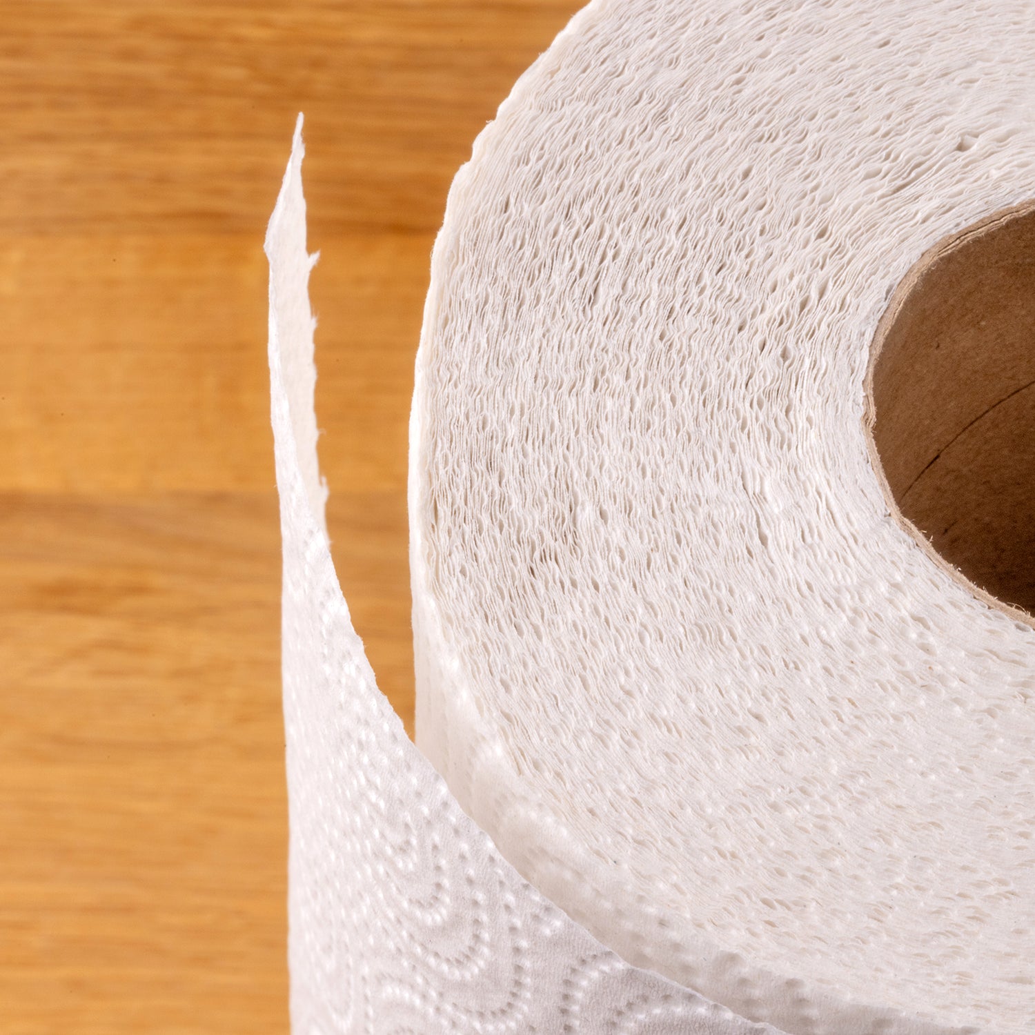 Recycled Kitchen Roll