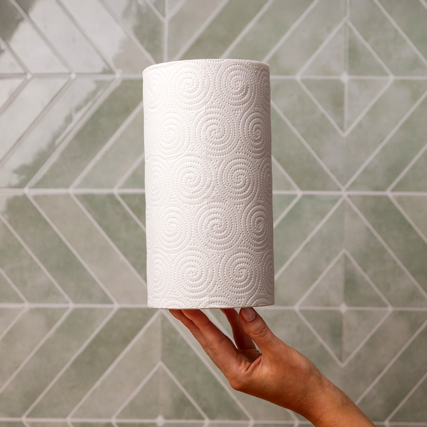 Recycled Kitchen Roll