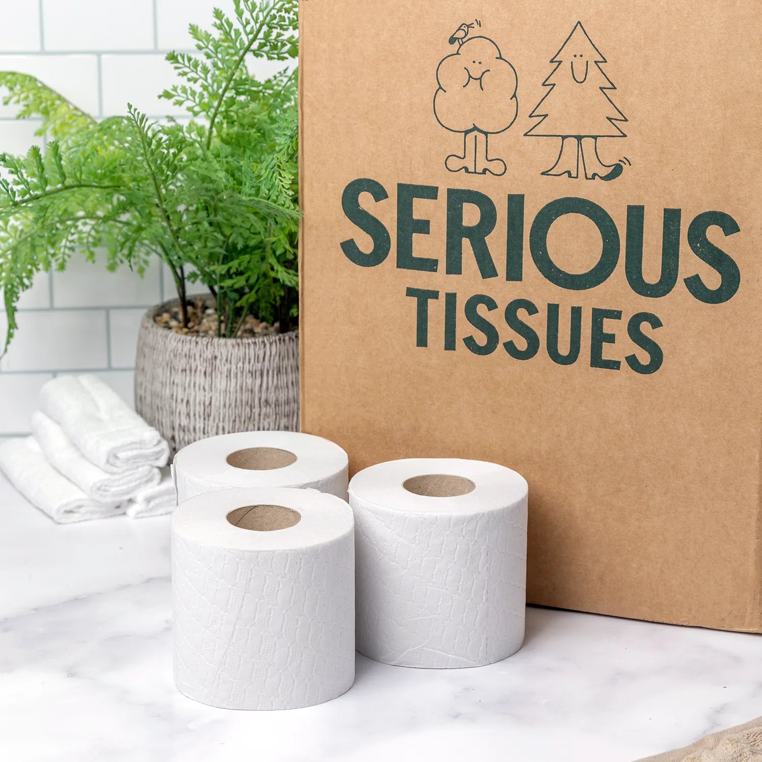 Box of white toilet paper next to brown packaging and a green plant