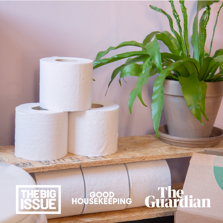 Bamboo vs Recycled Toilet Paper: Which is More Eco-Friendly? – Serious  Tissues