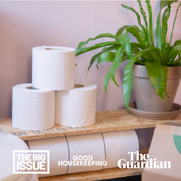 Toilet Tissue The Bumpy Road to Hygienic Convenience