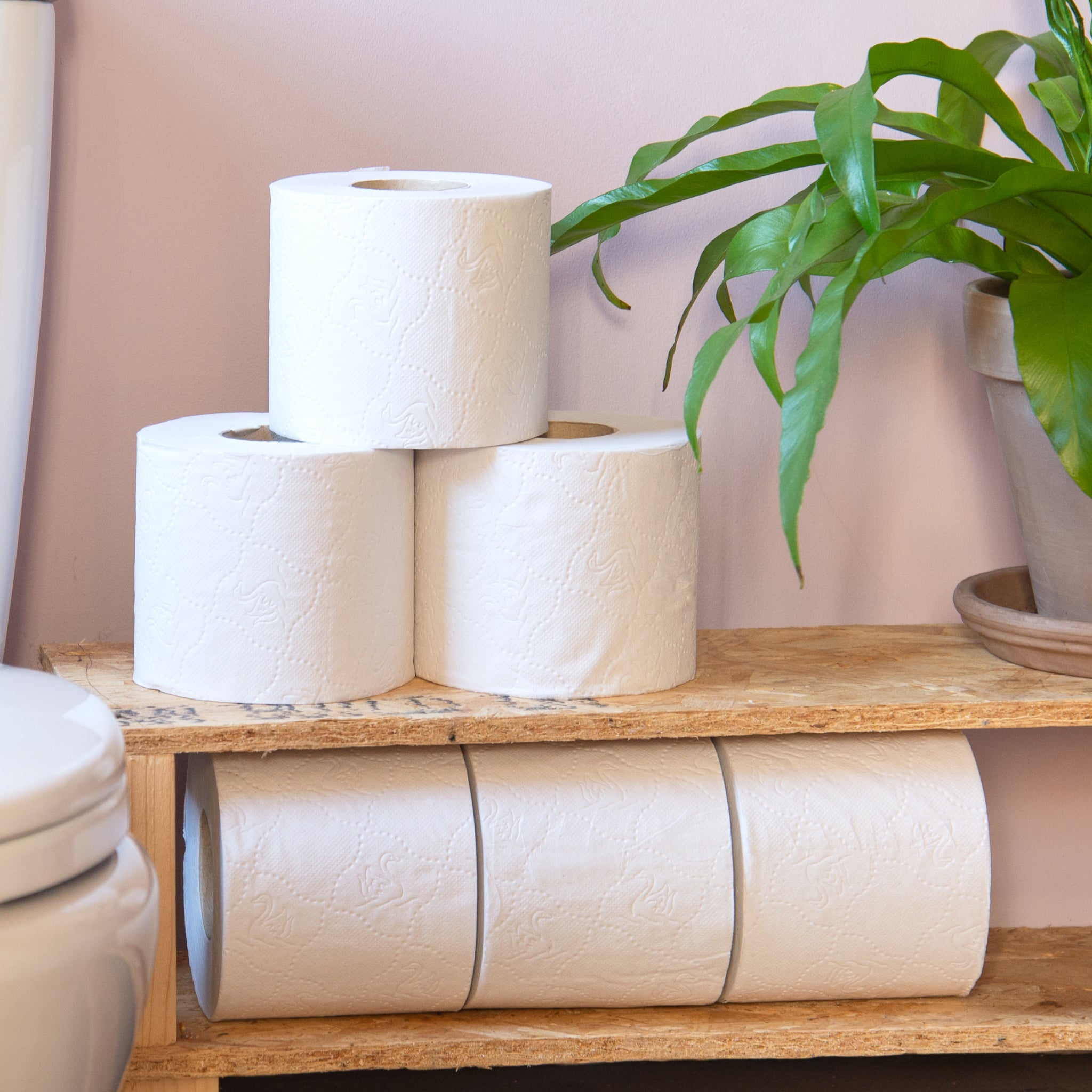 UK-Made Recycled Toilet Paper – Seriously Sustainable & Plastic-Free